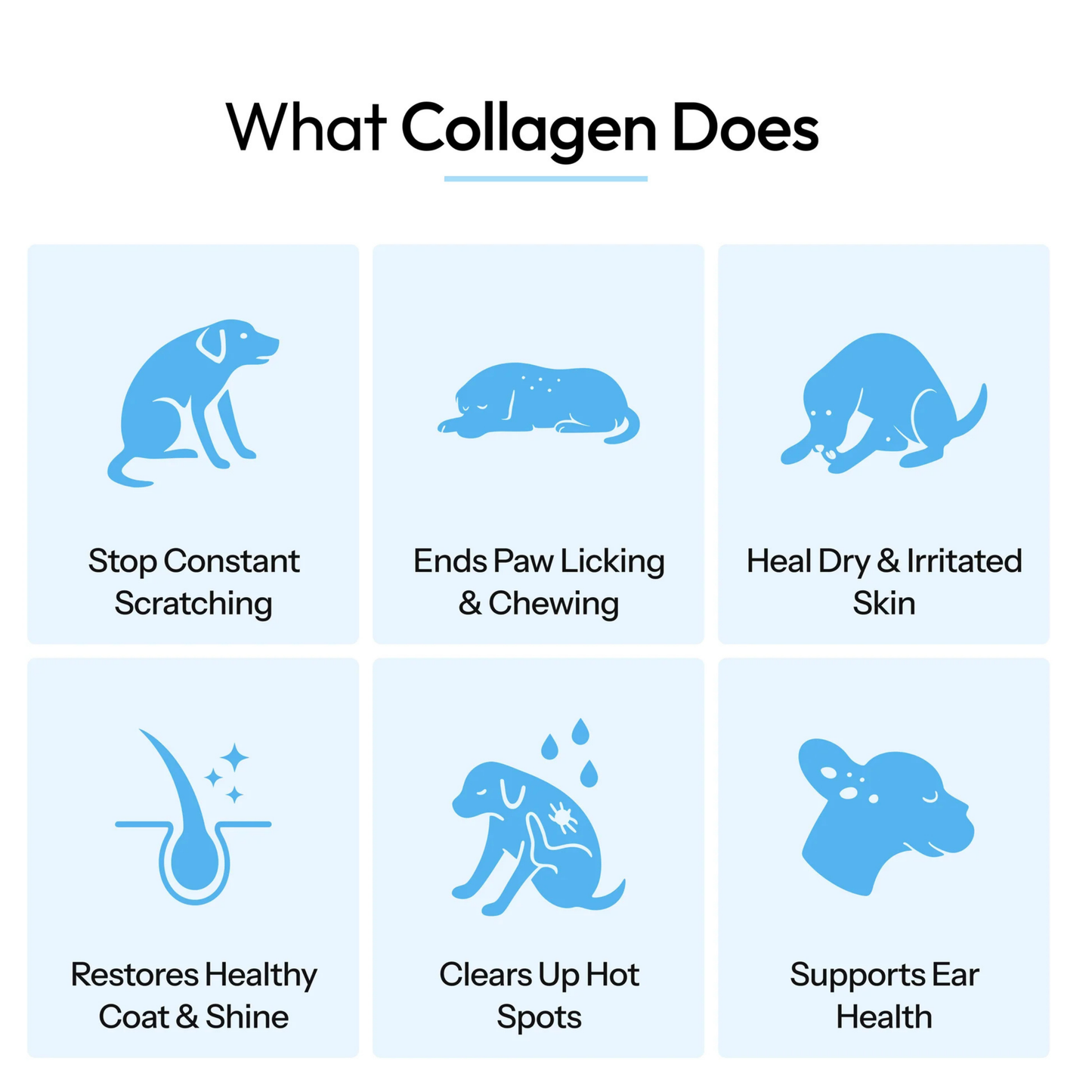 Healthy Petz© Premium Liquid Collagen