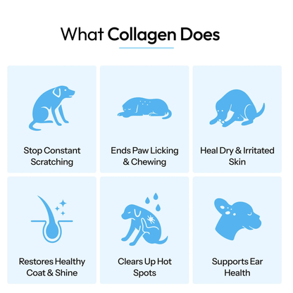 Healthy Petz© Premium Liquid Collagen